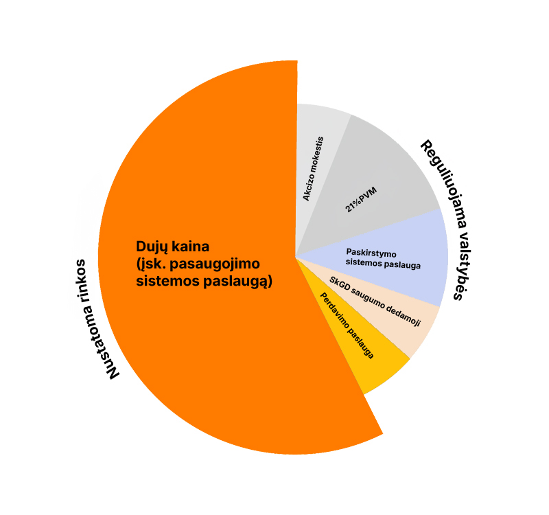 Dujų kainos verslui sudedamosios dalys.